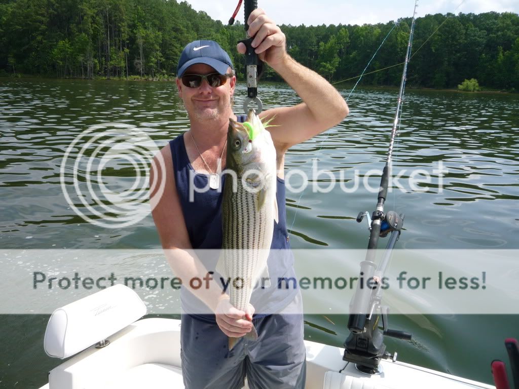 Striper Fishing On Jordan Lake